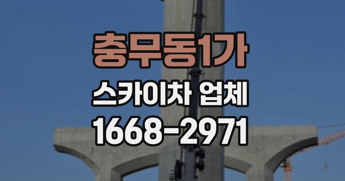 충무동1가 스카이차 업체