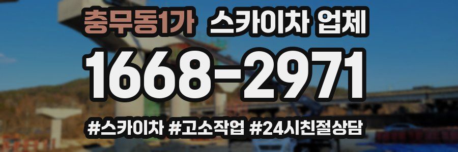 충무동1가 스카이차 업체