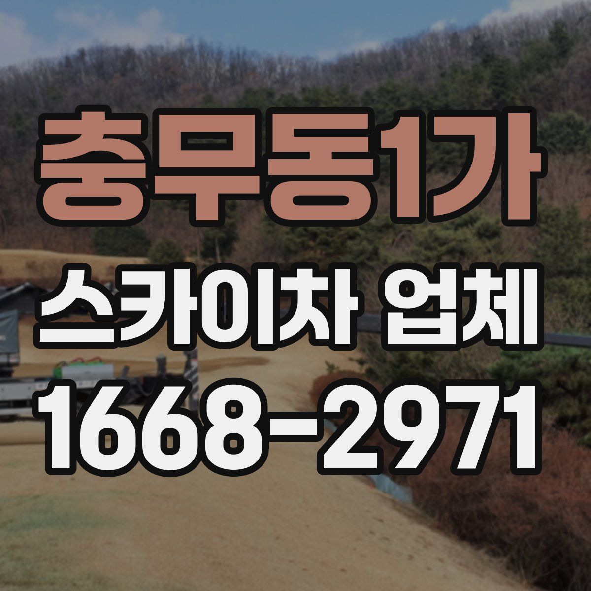 충무동1가 스카이차 업체