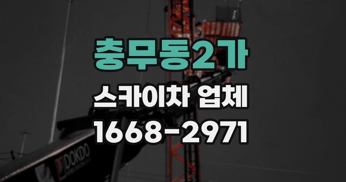 충무동2가 스카이차 업체