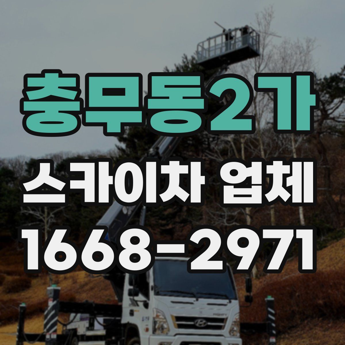 충무동2가 스카이차 업체