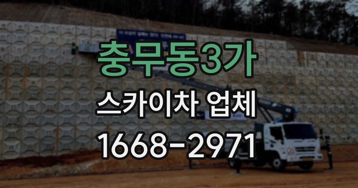 충무동3가 스카이차 업체