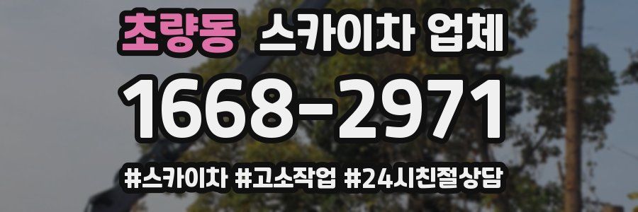 초량동 스카이차 업체