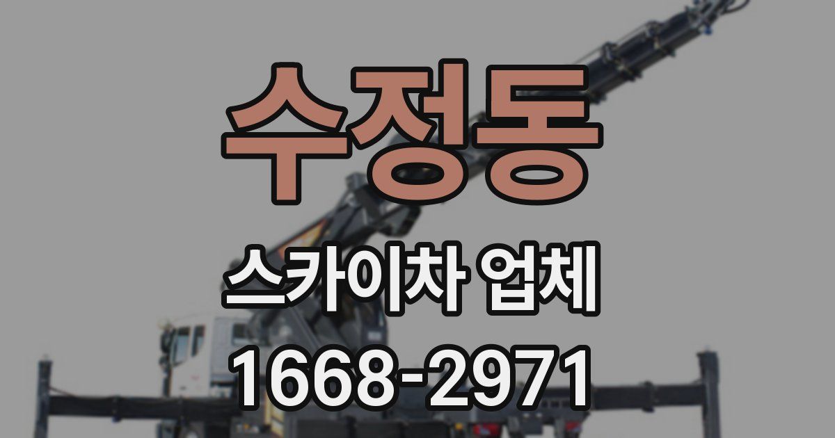 수정동 스카이차 업체