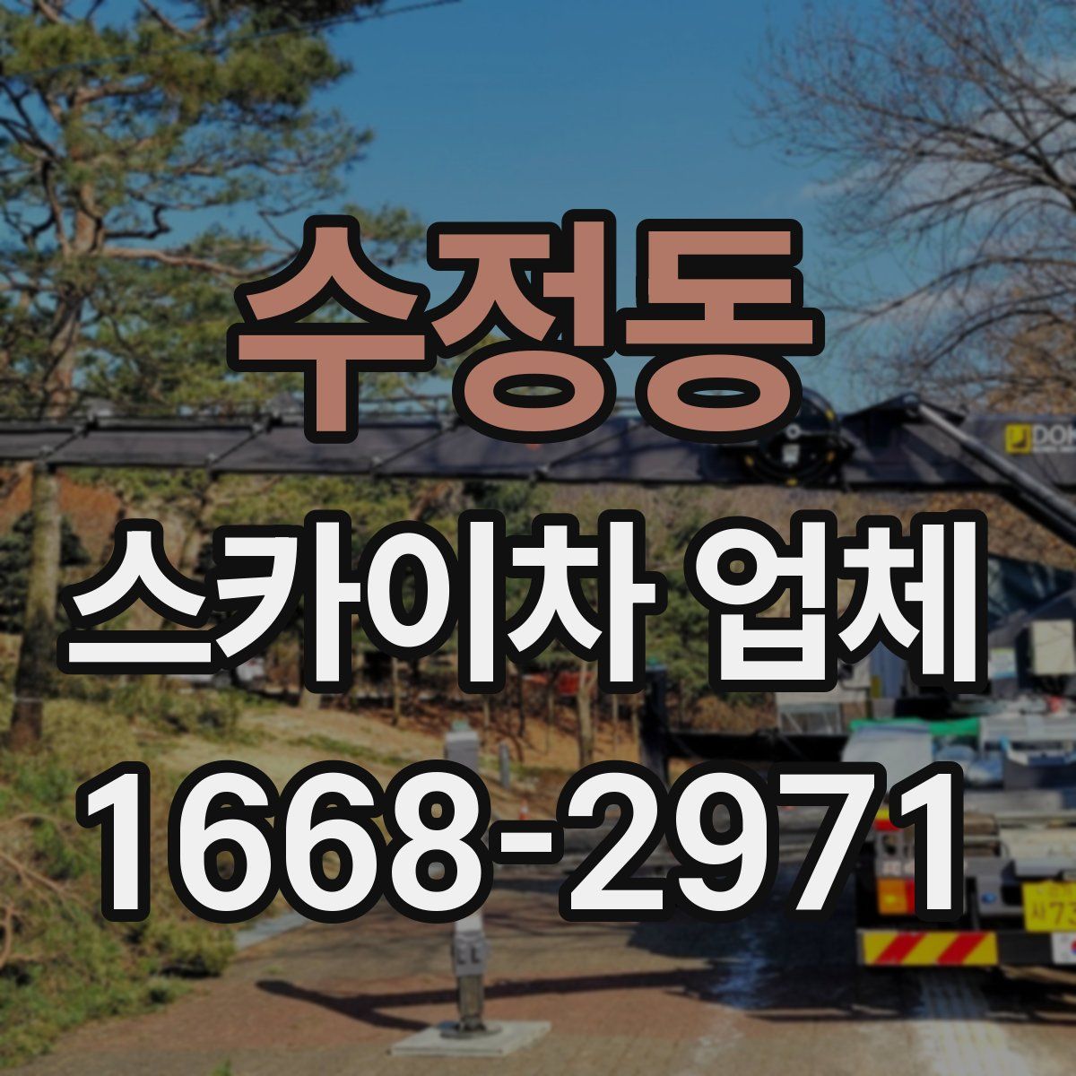 수정동 스카이차 업체