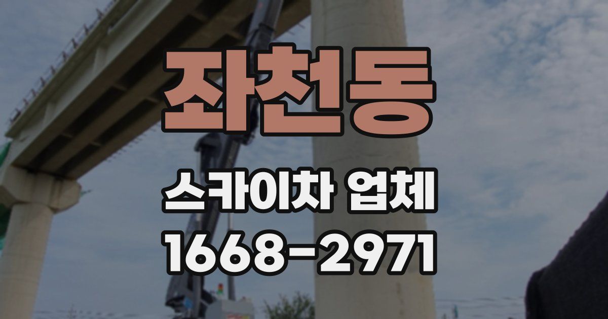 좌천동 스카이차 업체