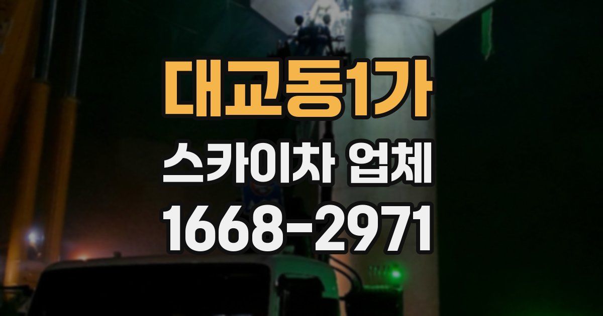 대교동1가 스카이차 업체