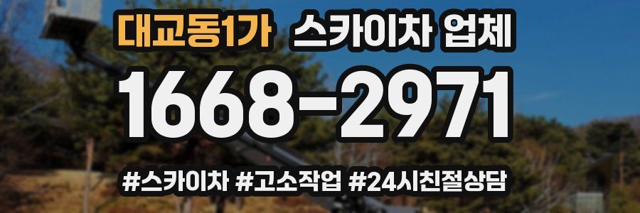 대교동1가 스카이차 업체