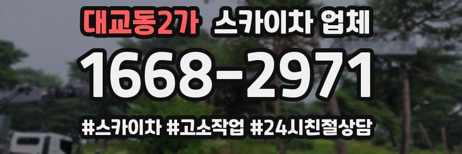 대교동2가 스카이차 업체