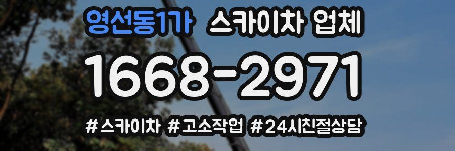 영선동1가 스카이차 업체