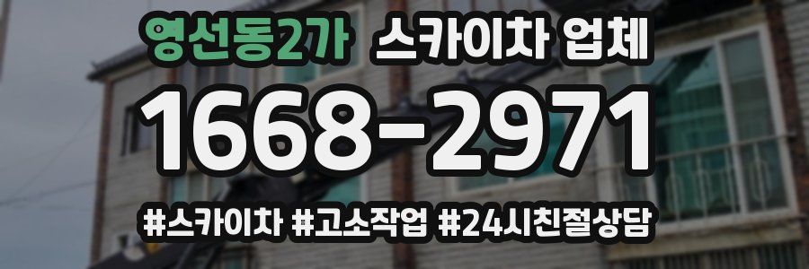 영선동2가 스카이차 업체