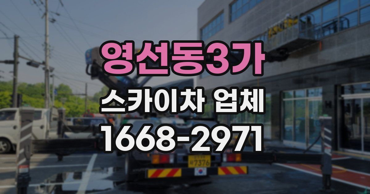 영선동3가 스카이차 업체