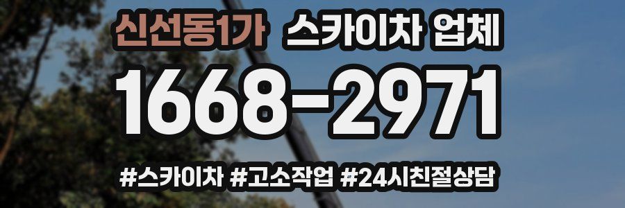 신선동1가 스카이차 업체
