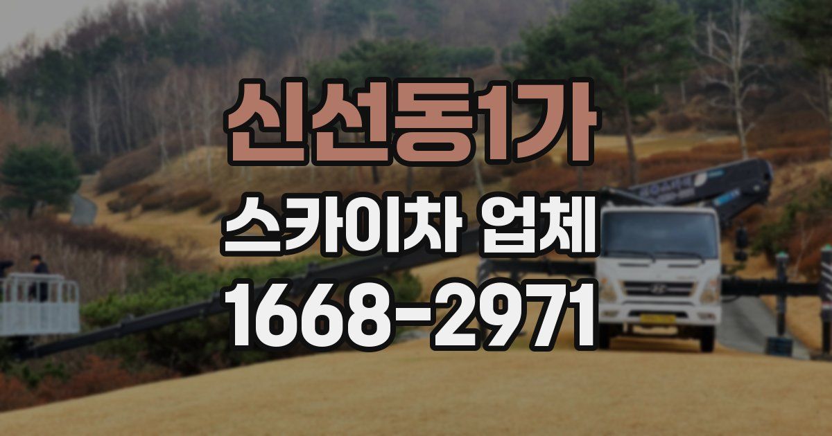 신선동1가 스카이차 업체