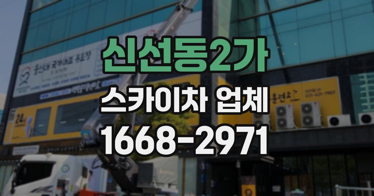 신선동2가 스카이차 업체