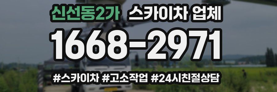 신선동2가 스카이차 업체