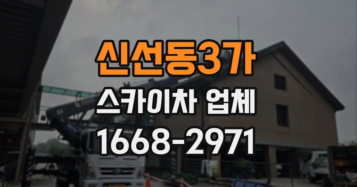 신선동3가 스카이차 업체