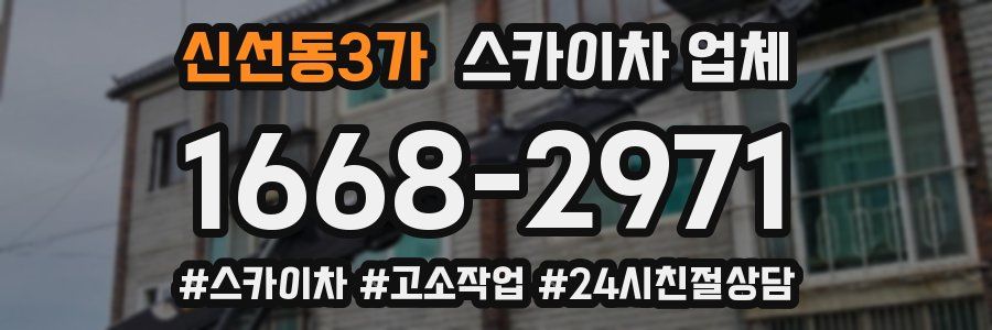 신선동3가 스카이차 업체