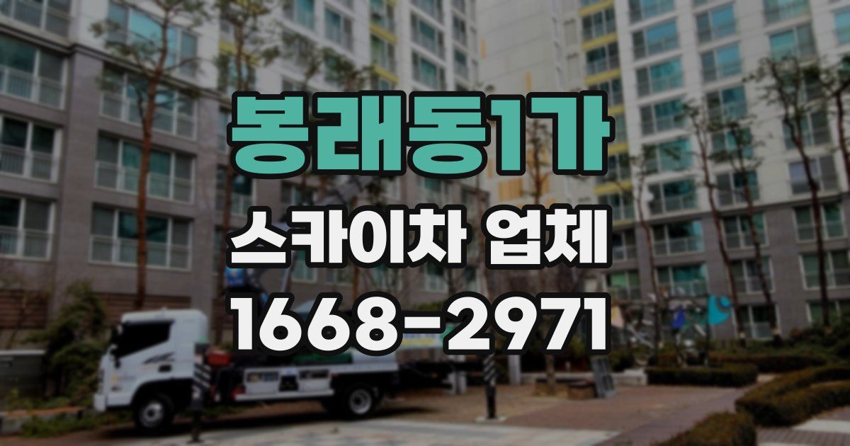 봉래동1가 스카이차 업체
