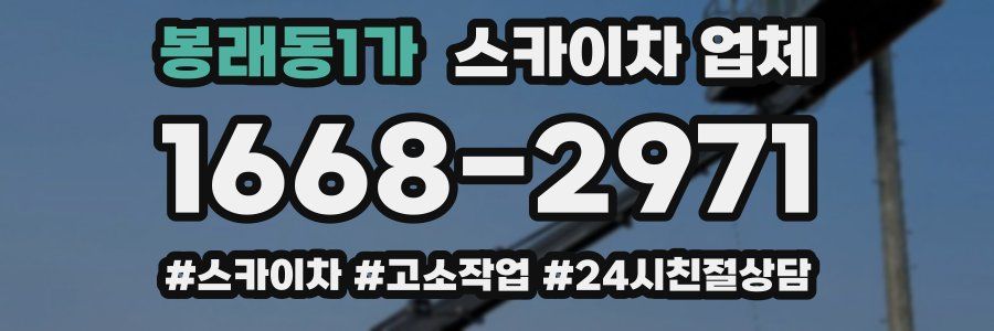 봉래동1가 스카이차 업체