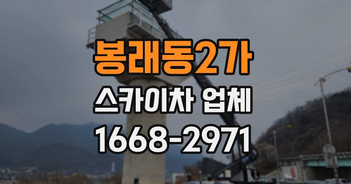 봉래동2가 스카이차 업체