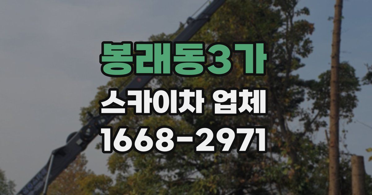 봉래동3가 스카이차 업체