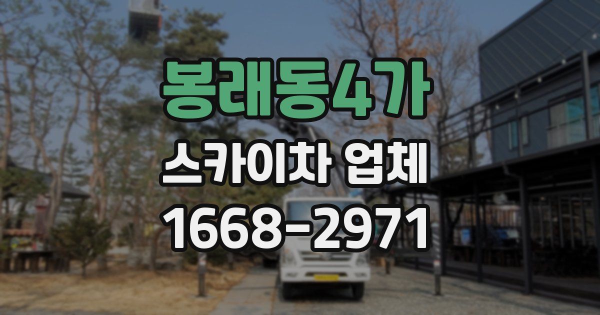봉래동4가 스카이차 업체