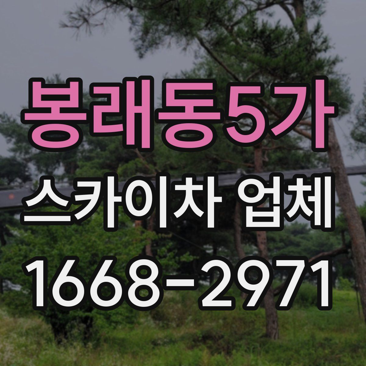 봉래동5가 스카이차 업체