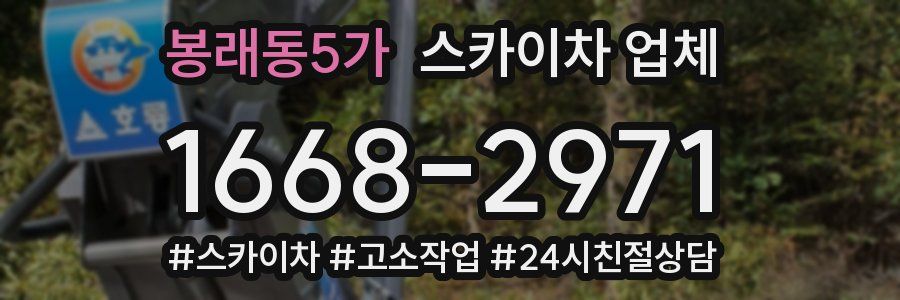 봉래동5가 스카이차 업체