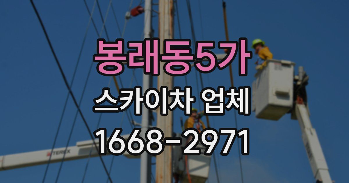 봉래동5가 스카이차 업체