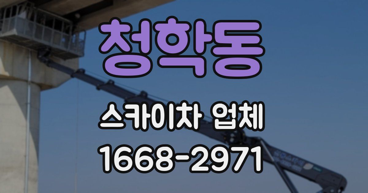 청학동 스카이차 업체