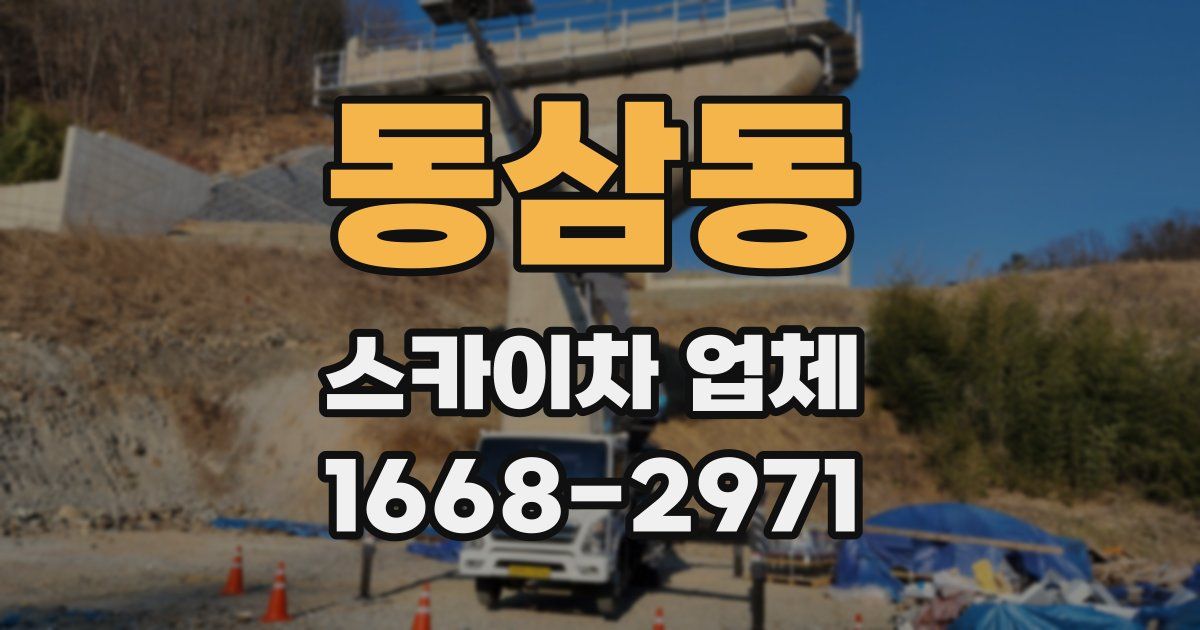 동삼동 스카이차 업체