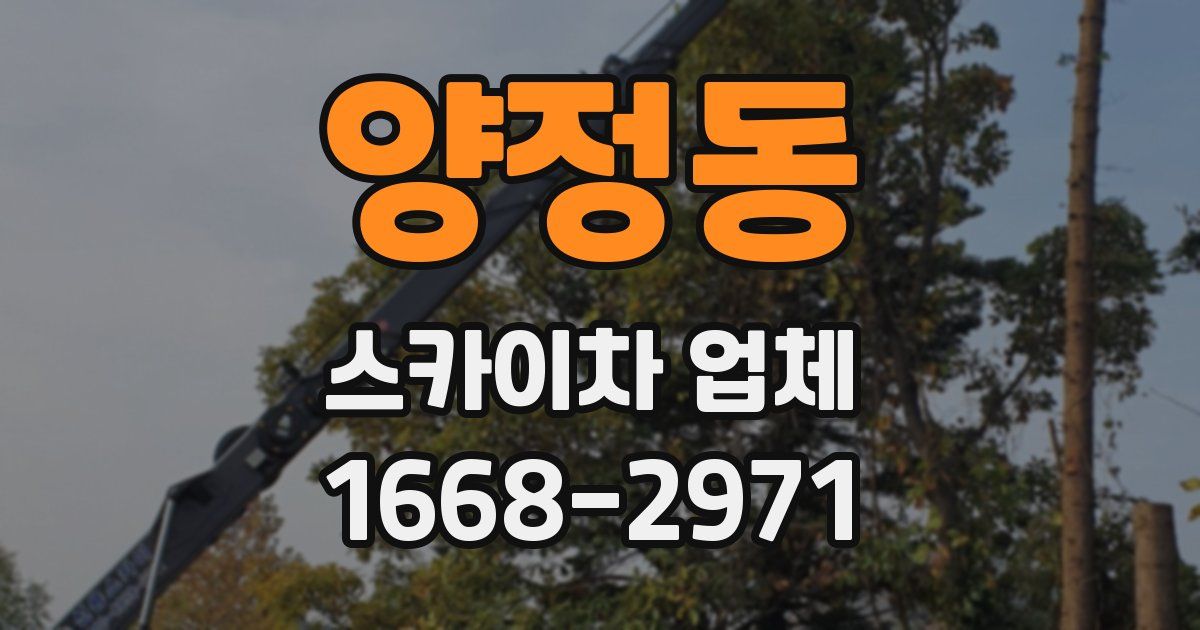 양정동 스카이차 업체