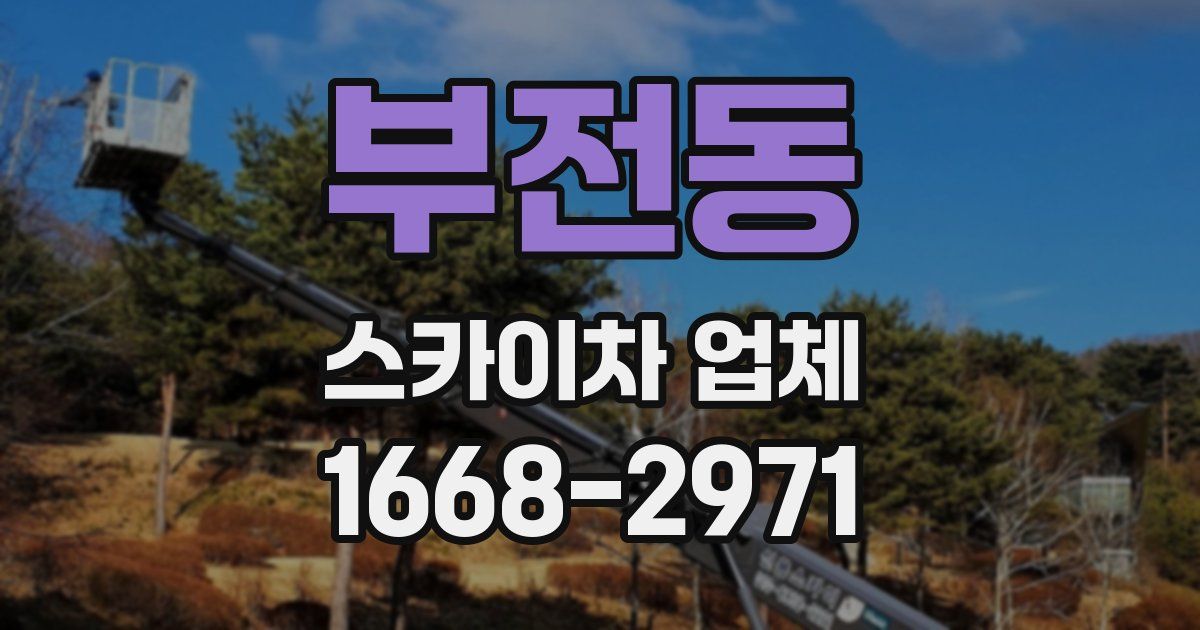 부전동 스카이차 업체