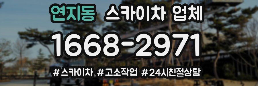 연지동 스카이차 업체