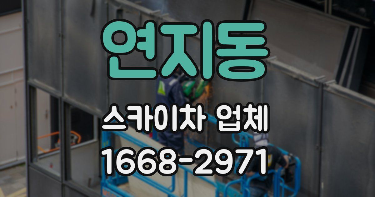 연지동 스카이차 업체