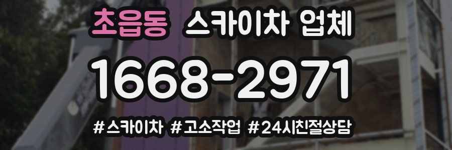 초읍동 스카이차 업체