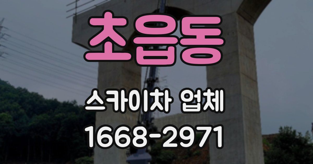 초읍동 스카이차 업체
