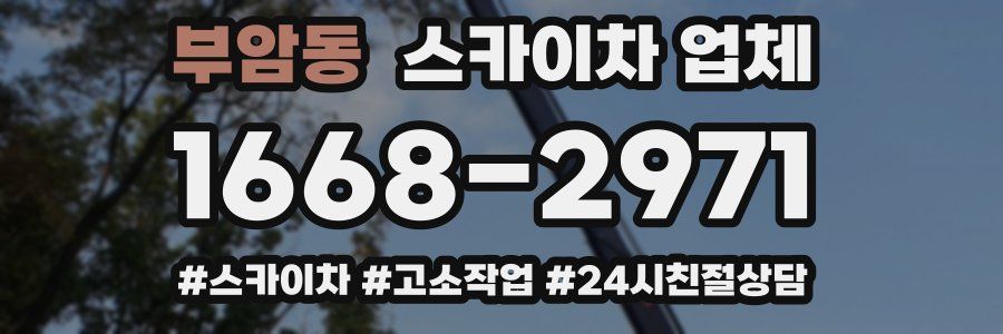 부암동 스카이차 업체
