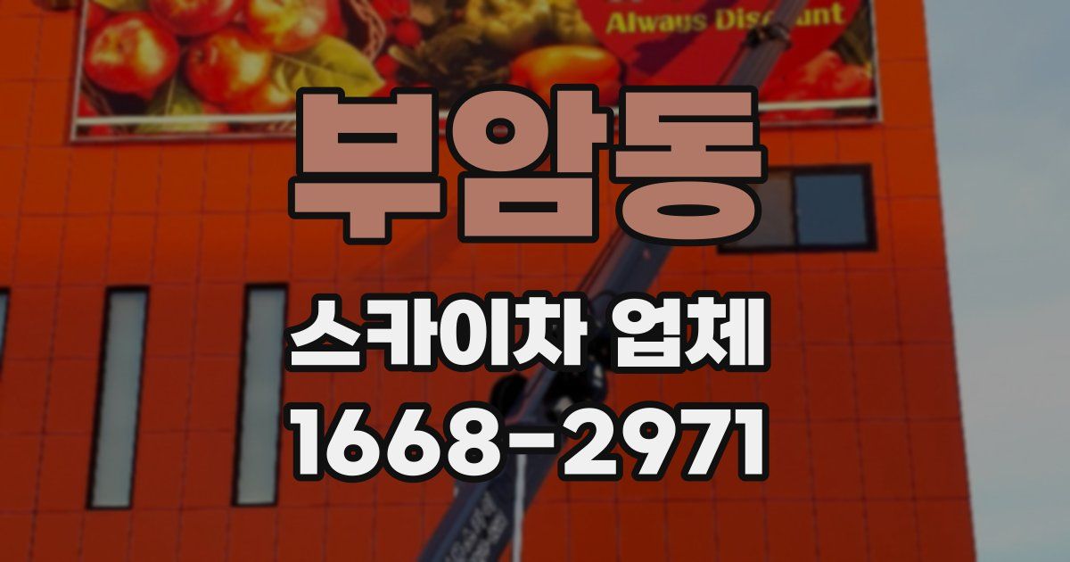 부암동 스카이차 업체