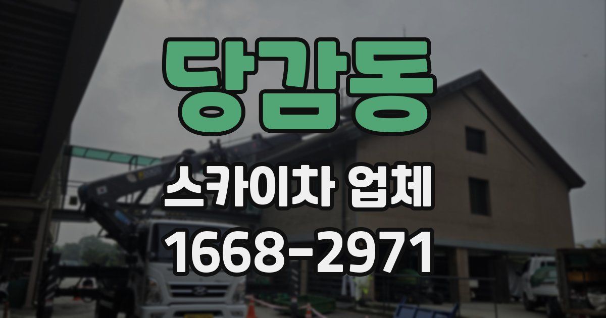 당감동 스카이차 업체