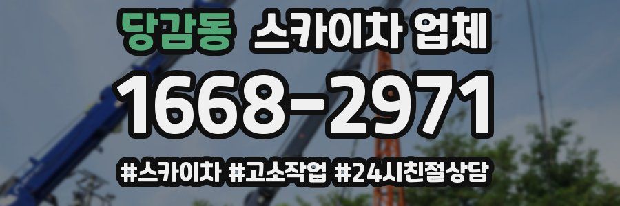 당감동 스카이차 업체