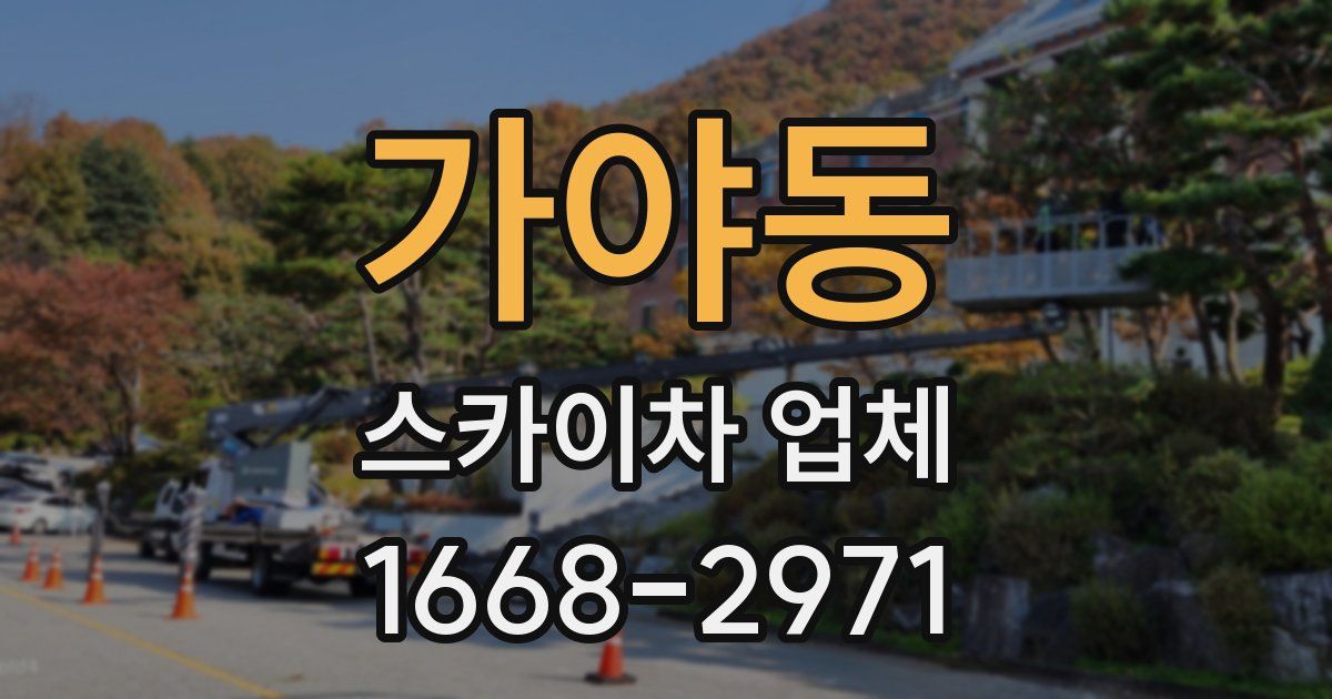 가야동 스카이차 업체
