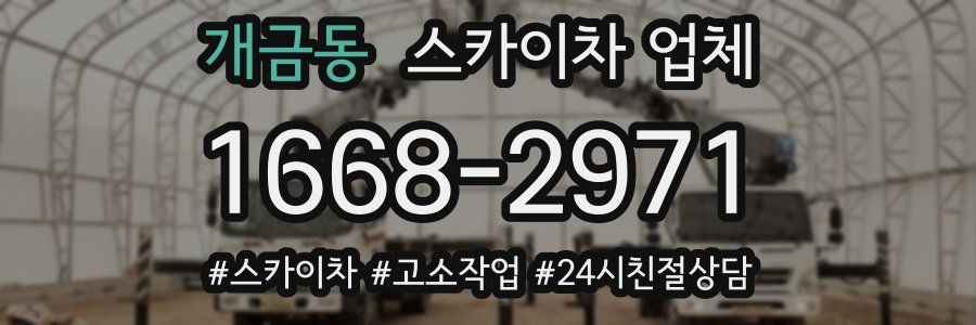 개금동 스카이차 업체