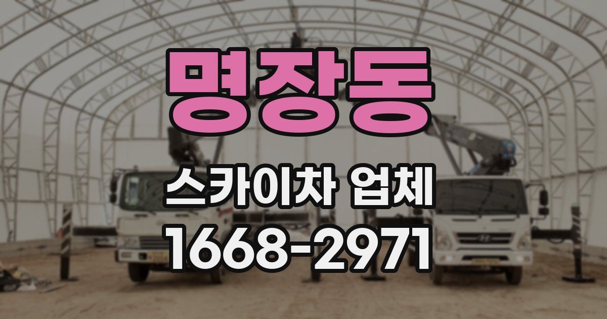 명장동 스카이차 업체