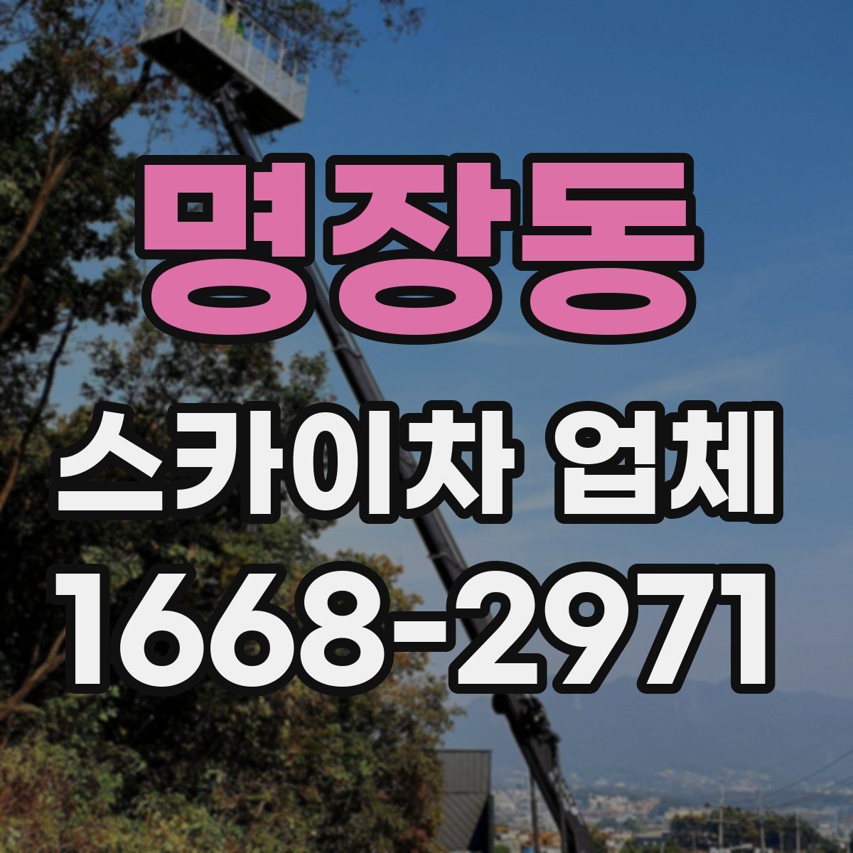 명장동 스카이차 업체