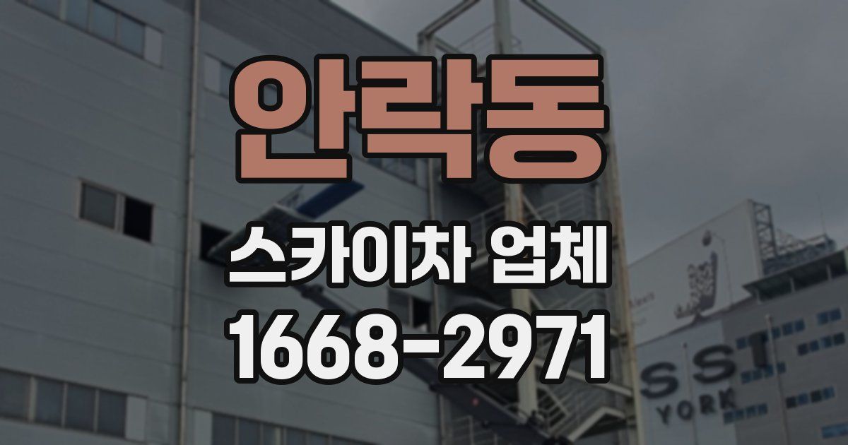 안락동 스카이차 업체