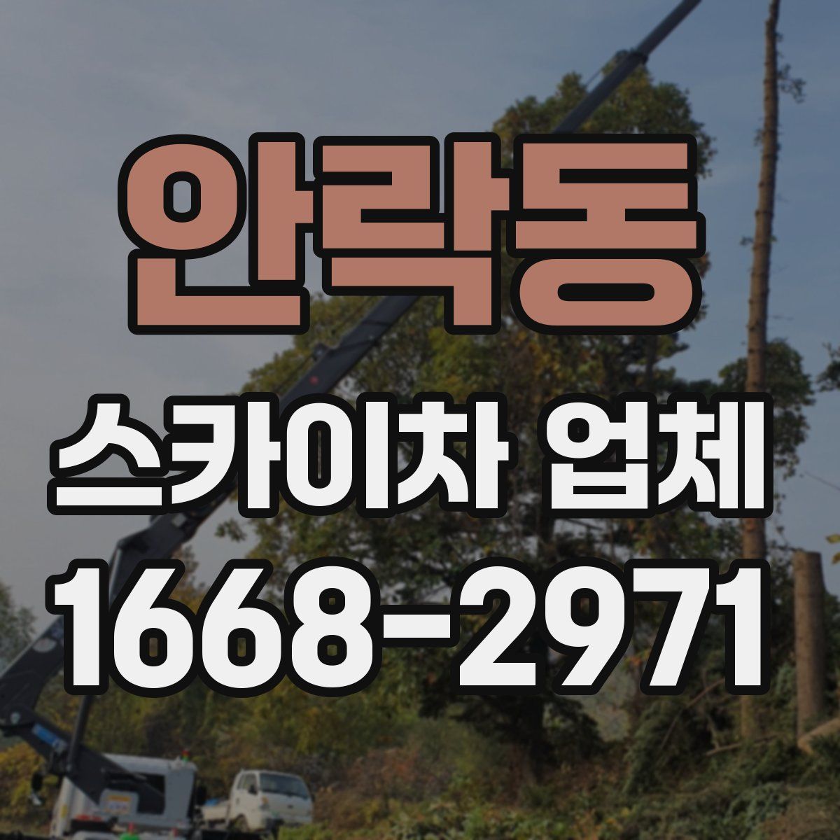 안락동 스카이차 업체