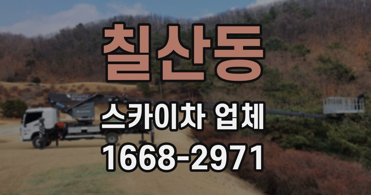 칠산동 스카이차 업체
