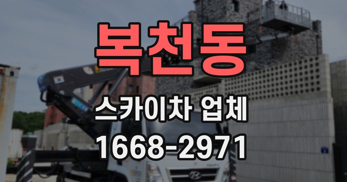 복천동 스카이차 업체